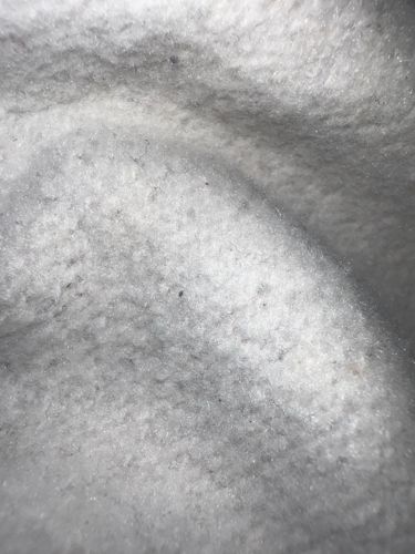 No insect or bug identifiable