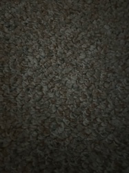 Carpet