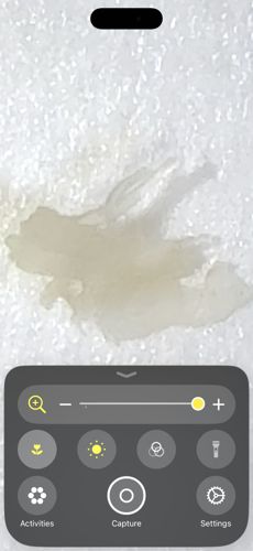 Inconclusive (Likely non-biological)