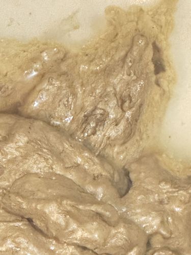 No insect or bug is visible