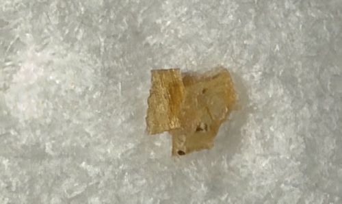 Not a bug (Debris/Fragment)