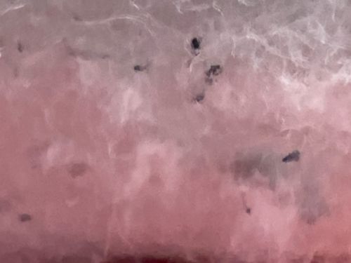 Unidentifiable specks