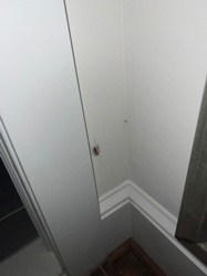 House Centipede