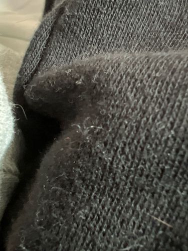 Not identifiable as an insect or bug