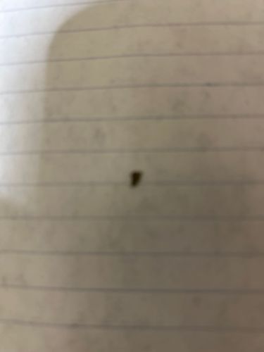 Too blurry to identify