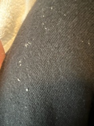 Lint/Fabric debris