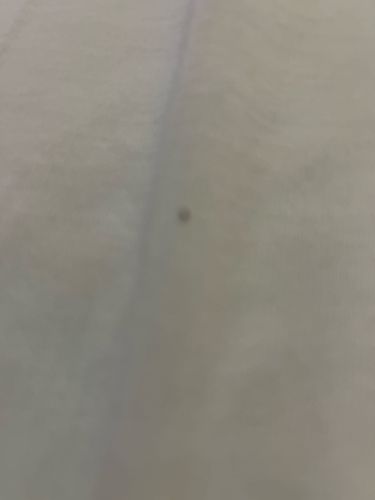 Unidentifiable Speck