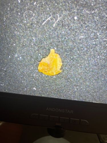 Not Applicable (Not an insect)