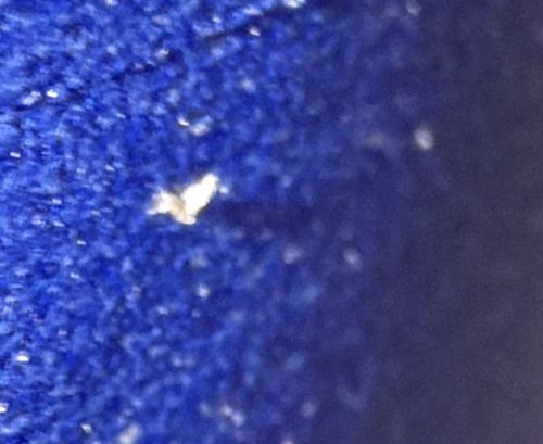 Unidentifiable due to image quality