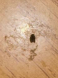 Unable to identify from image