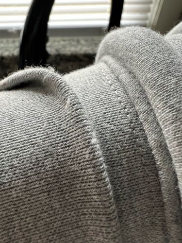 Webbing clothes moth (larval case/larva residue)