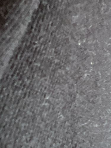Unidentifiable organism or dust on fabric