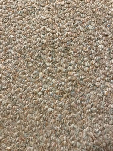 Not identifiable from image