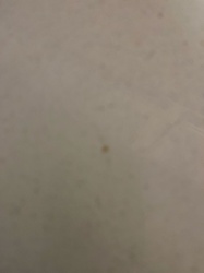 Unidentifiable stain