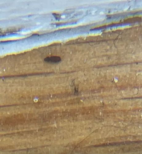 Too blurry to identify