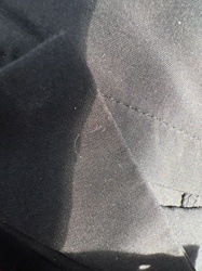 No insect identified