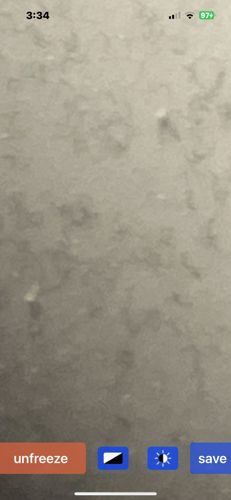 N/A - No insect or bug detectable