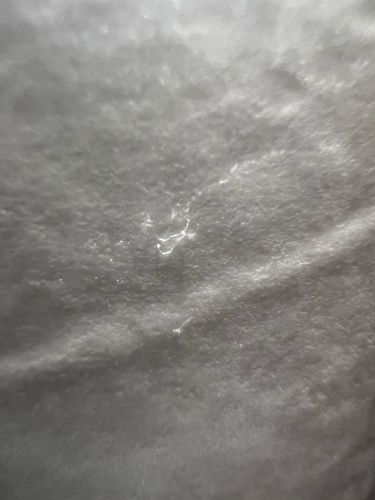 Inconclusive (Likely non-biological material)