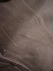 Dust particles/lint (not an insect)