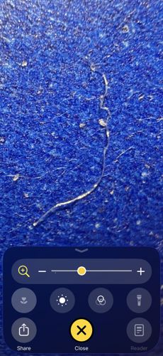 Non-living fiber / Synthetic textile fiber