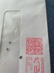 Bird mite / Rodent mite