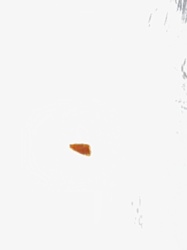 Unidentifiable Speck / Debris