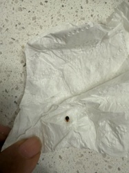 Tick (likely a deer tick or blacklegged tick based on appearance)