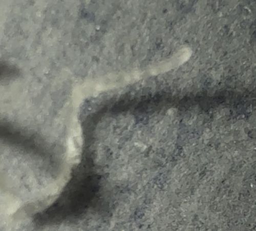 Unknown / Insufficient Data