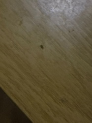 Too blurry to identify