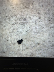 Unable to identify - appearance of lint or debris