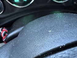 Too small to identify