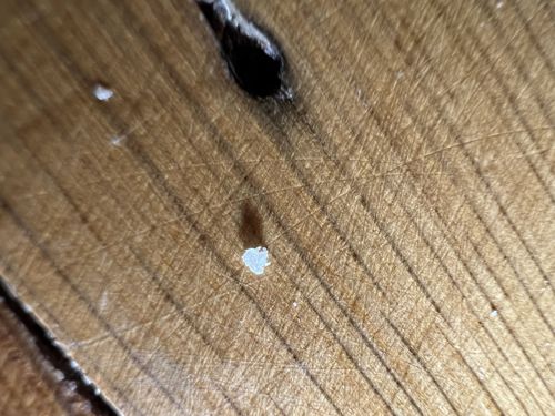 Too small/unclear to identify