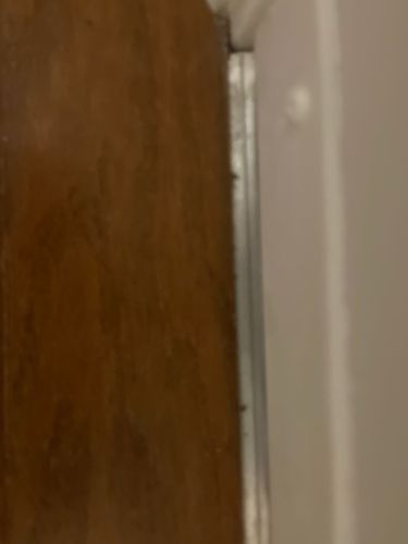 Too blurry to identify