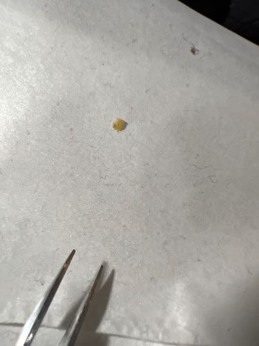 Unidentifiable Particle