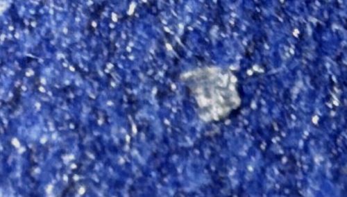 There is no identifiable insect in this image.