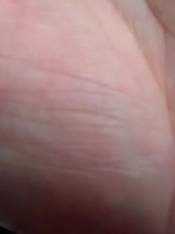 Undetermined; image too blurry to identify