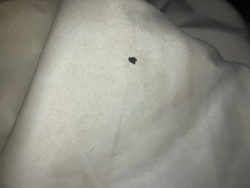 Unable to identify from image