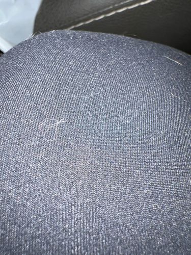 Lint or Fiber (Not an Insect)