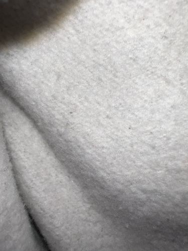 No insect or bug identifiable