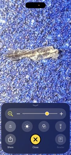 Household Casebearer