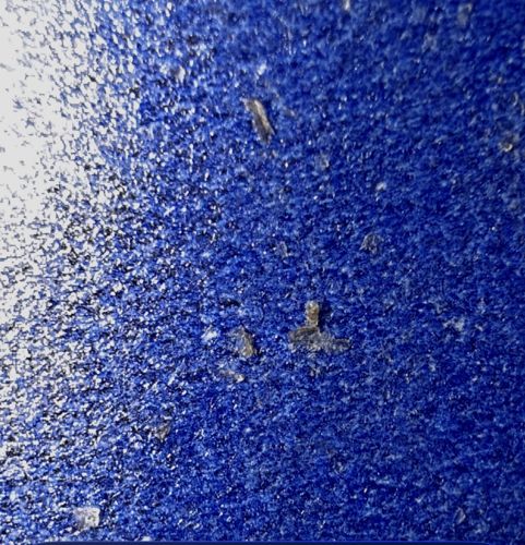 Non-Insect Object (Debris/Particulate)