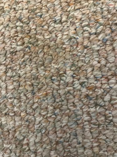 Not identifiable (no insect)