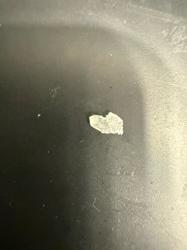 No insect or bug identifiable