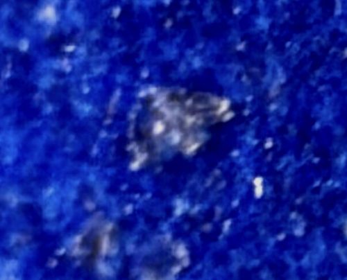 Masked Hunter Nymph (Camouflaged)