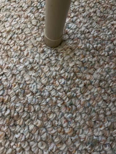 No insect or bug identifiable