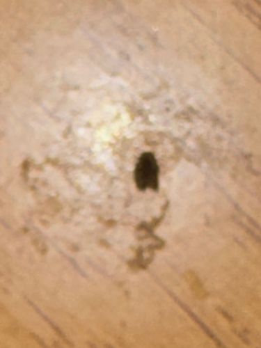 Unable to identify from image