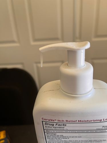 No insect or bug present