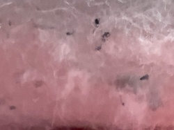 Unidentifiable specks