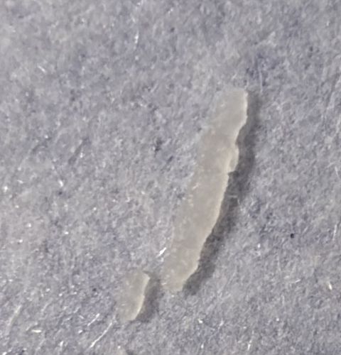 None (Non-biological material)