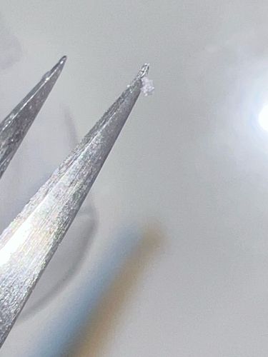 Too small/unclear to identify